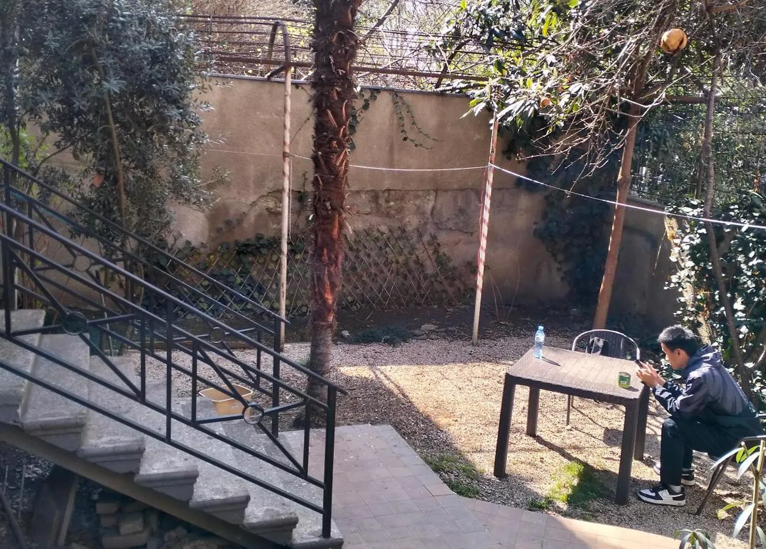 Long Tree Hostel - Comfy Mattress