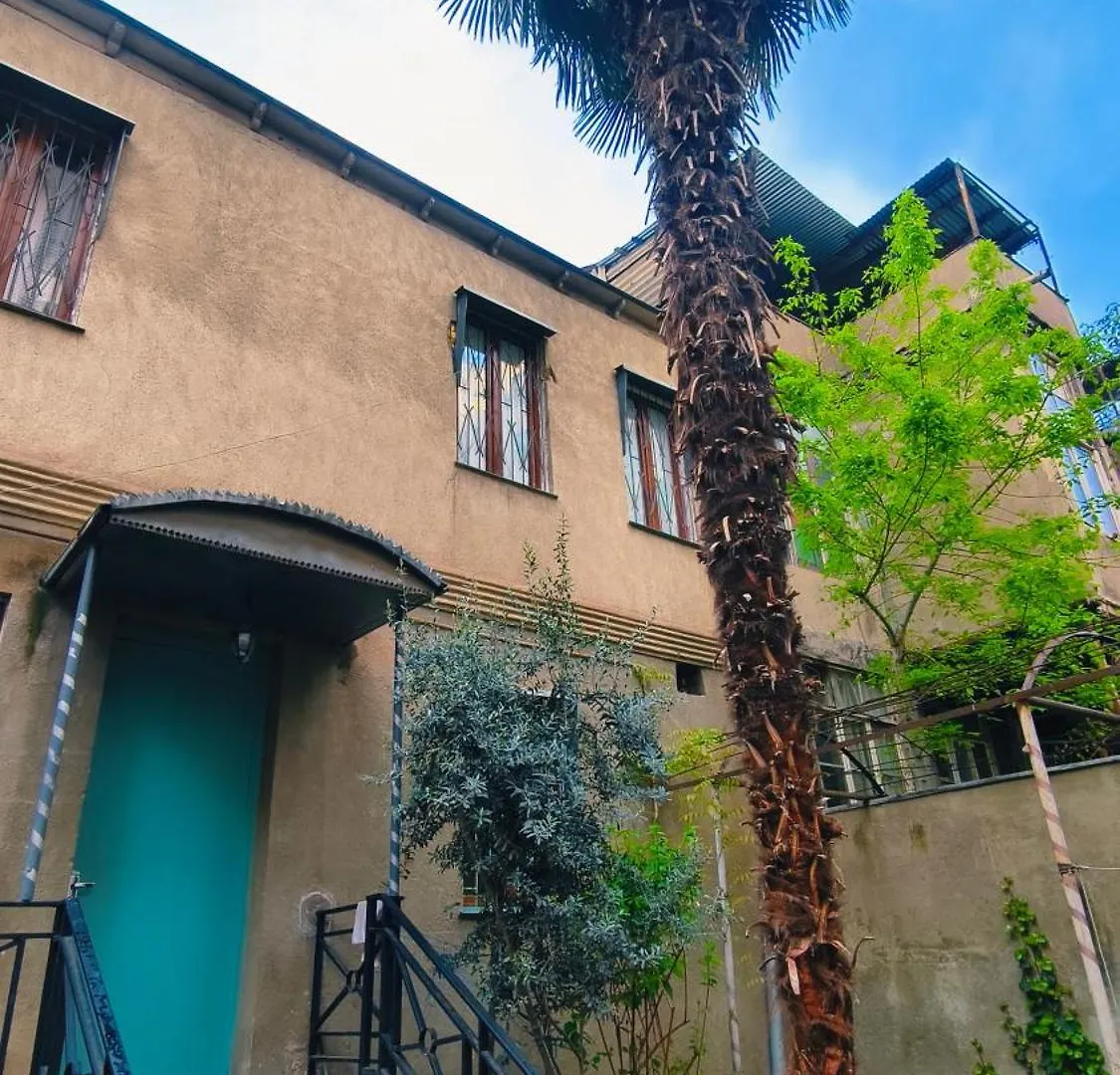 Long Tree Hostel - Comfy Mattress 0*, Tbilisi Georgia