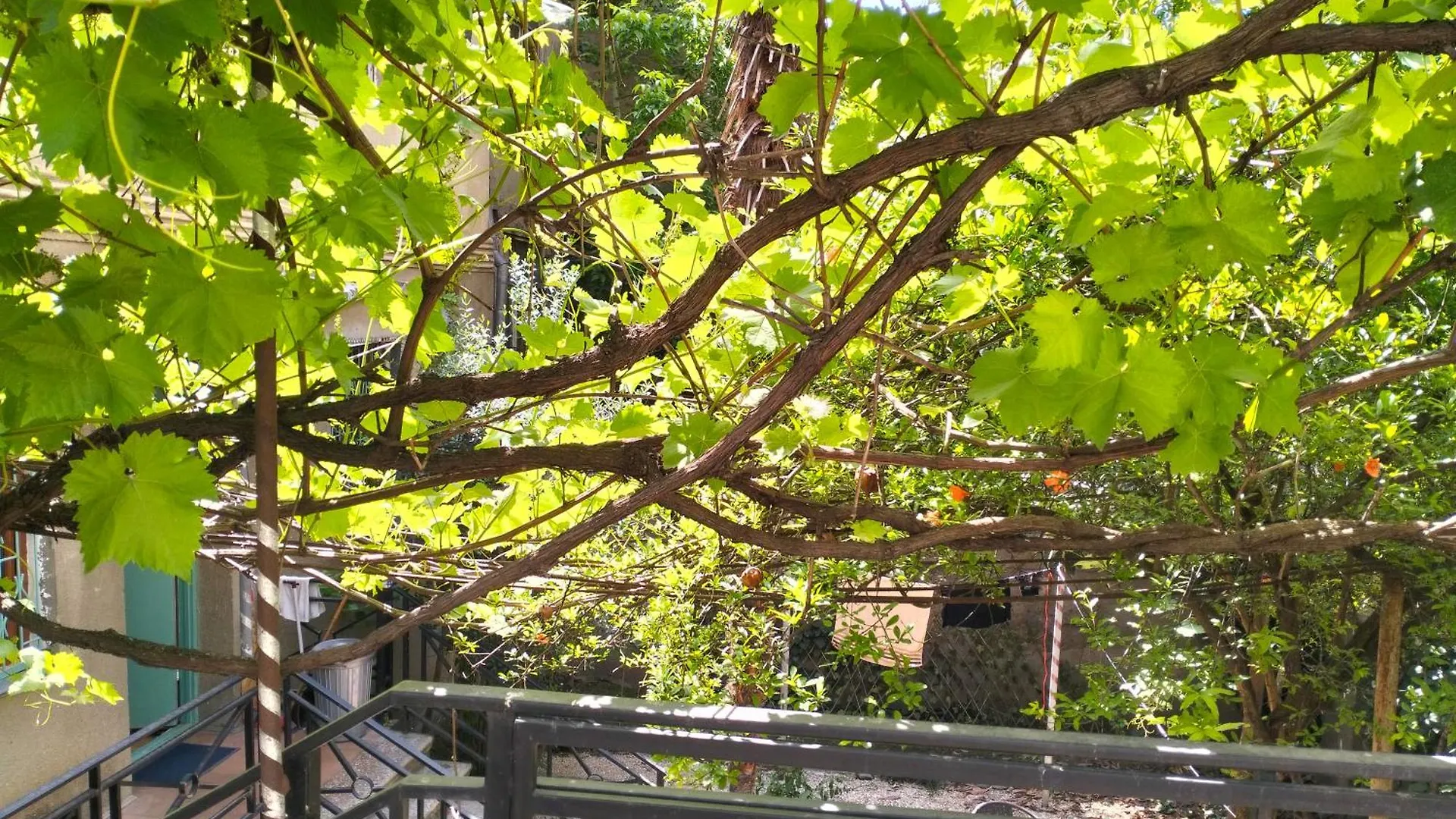 Long Tree Hostel - Comfy Mattress Tbilisi